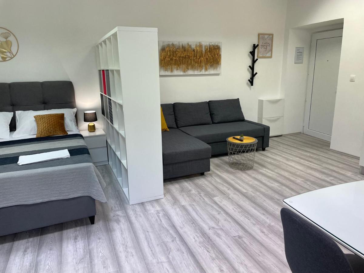 Apartment Studio Beauty In Centar PUY Eksteriør bilde